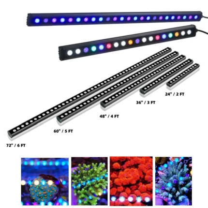 Saltwater Aquarium LED Bars