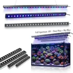 Full Spectrum Reef LED Lighting